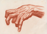 Human Hand 13 - Version 2